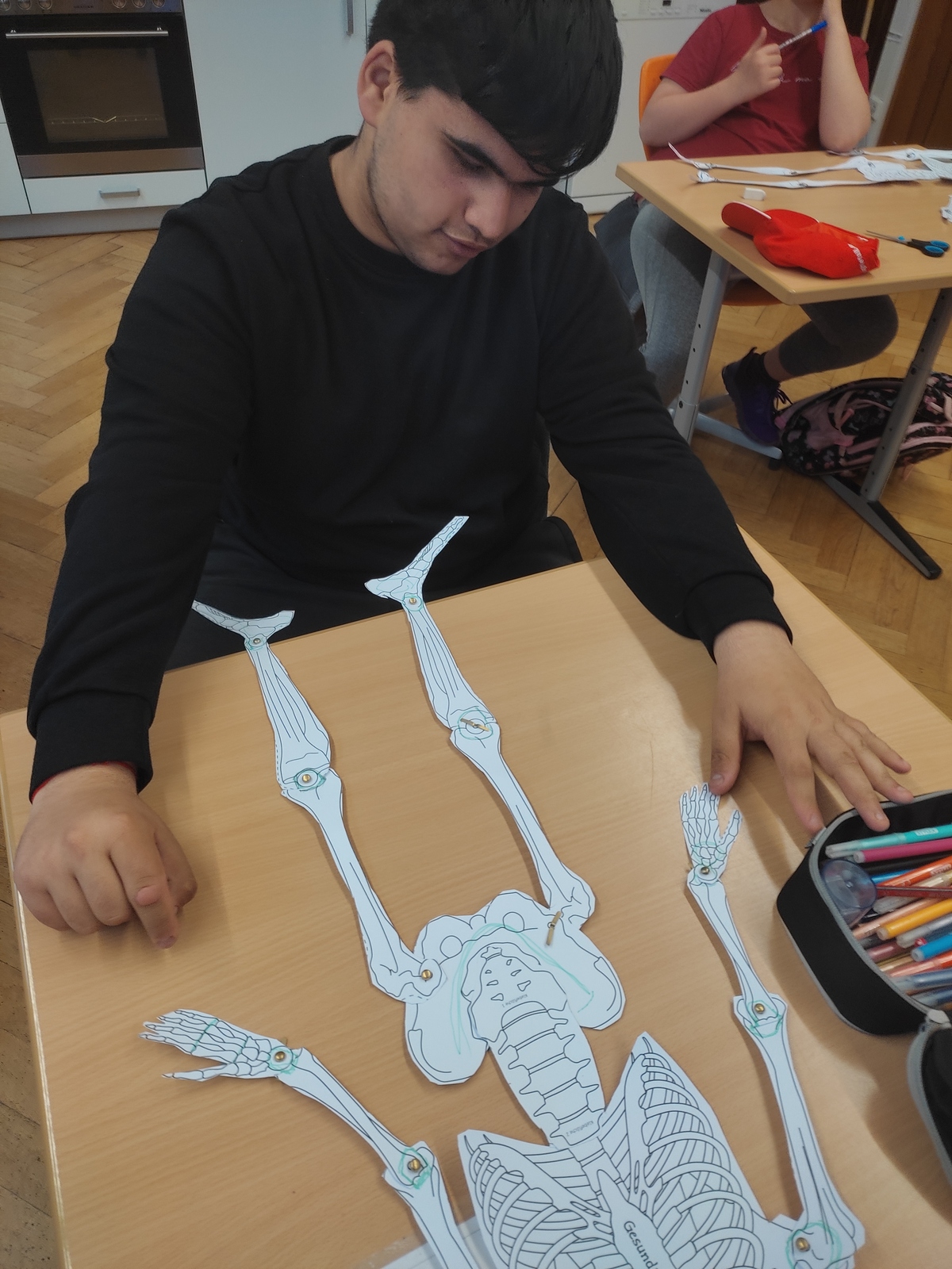 Menschen-Skelett